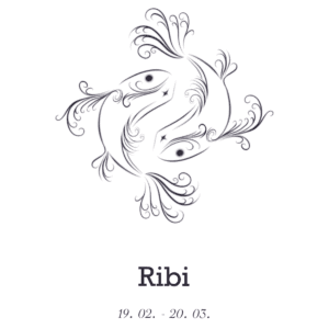 Print Ribi