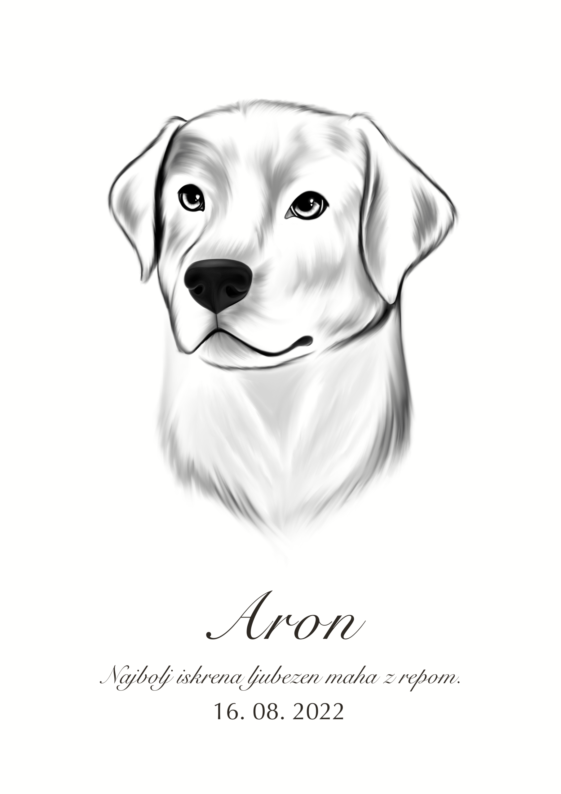 Print Labradorec