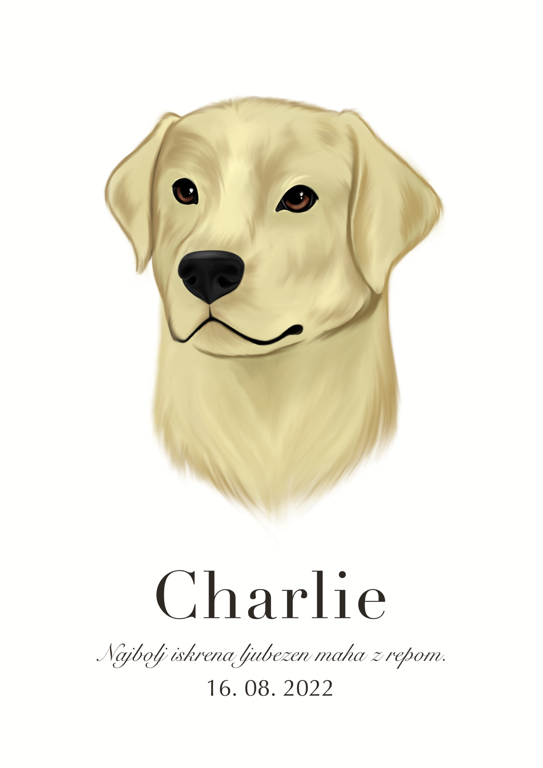 Print Labradorec