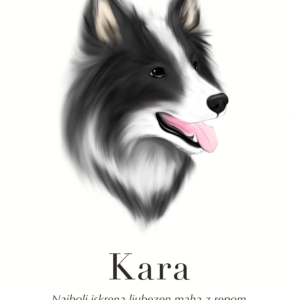 Barva 1