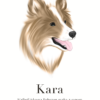 Barva 2