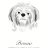 Črno-belo