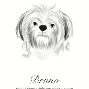 Print Shih Tzu