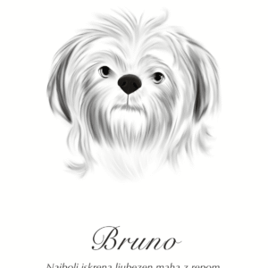 Print Shih Tzu