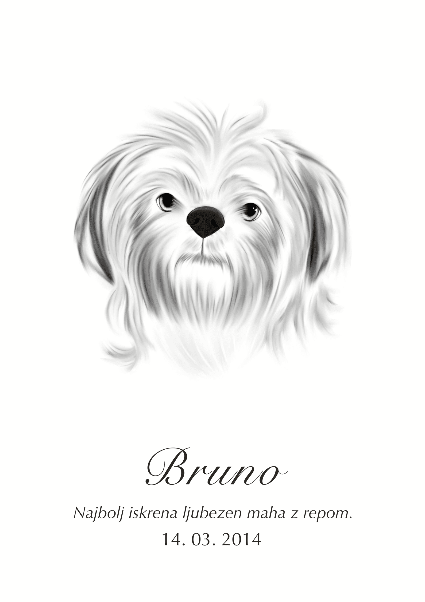 Print Shih Tzu