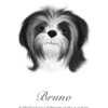 Barva 1