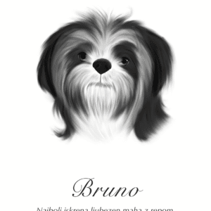 Print Shih Tzu