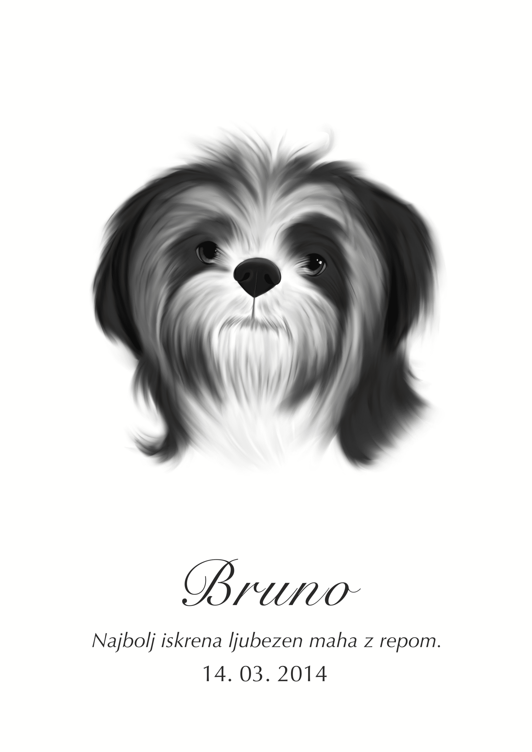 Print Shih Tzu