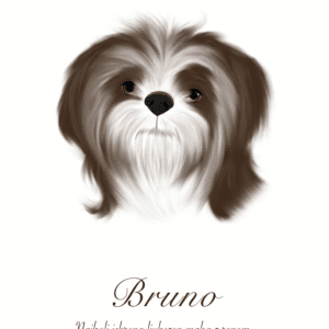 Print Shih Tzu