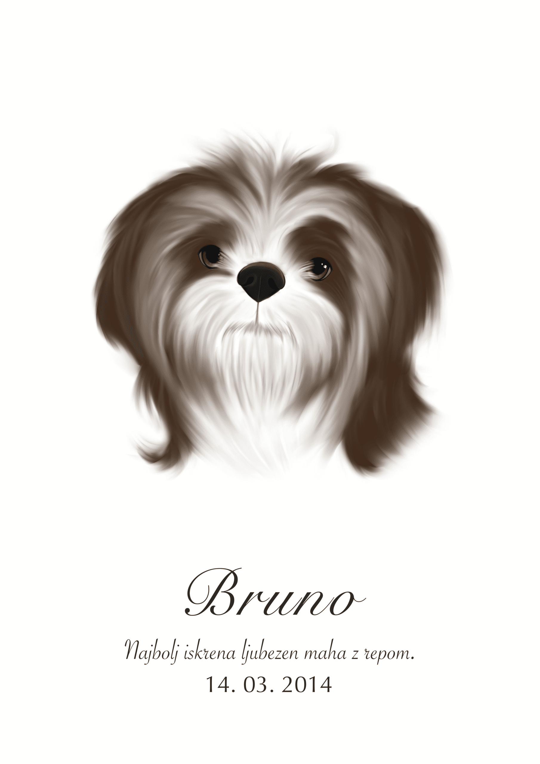 Print Shih Tzu