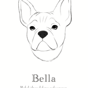 Print Francoski buldog