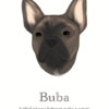 Barva 1