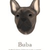 Barvna ilustracija
