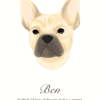 Druga barvna ilustracija