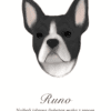 Barva 7