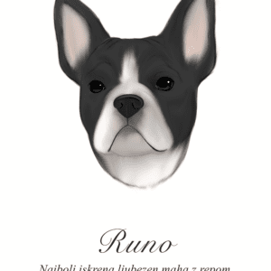 Barva 7