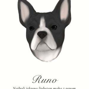 Print Francoski buldog