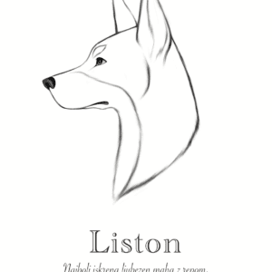 Print Doberman