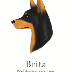 Barva 2