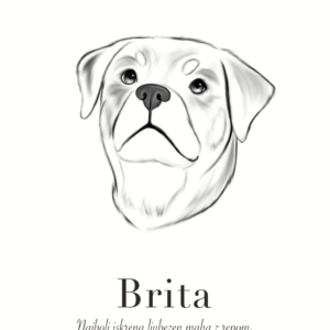 Print Rottweiler