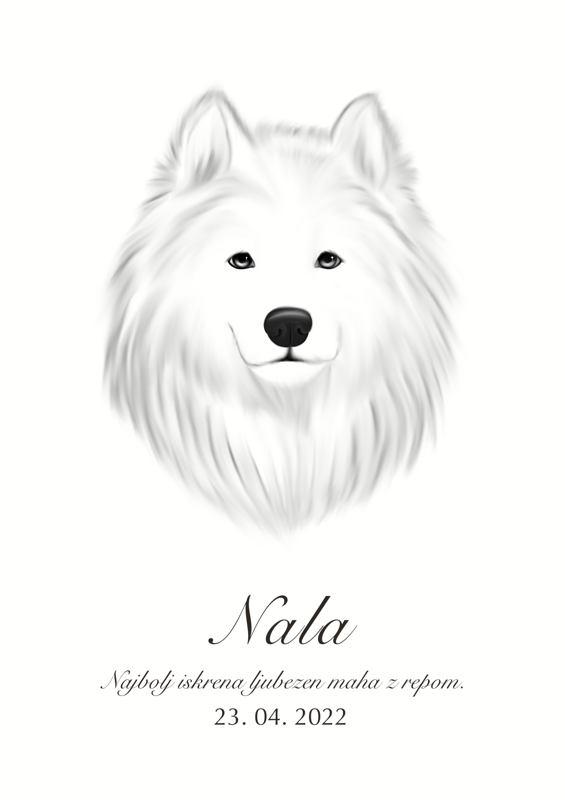 Print Samojed