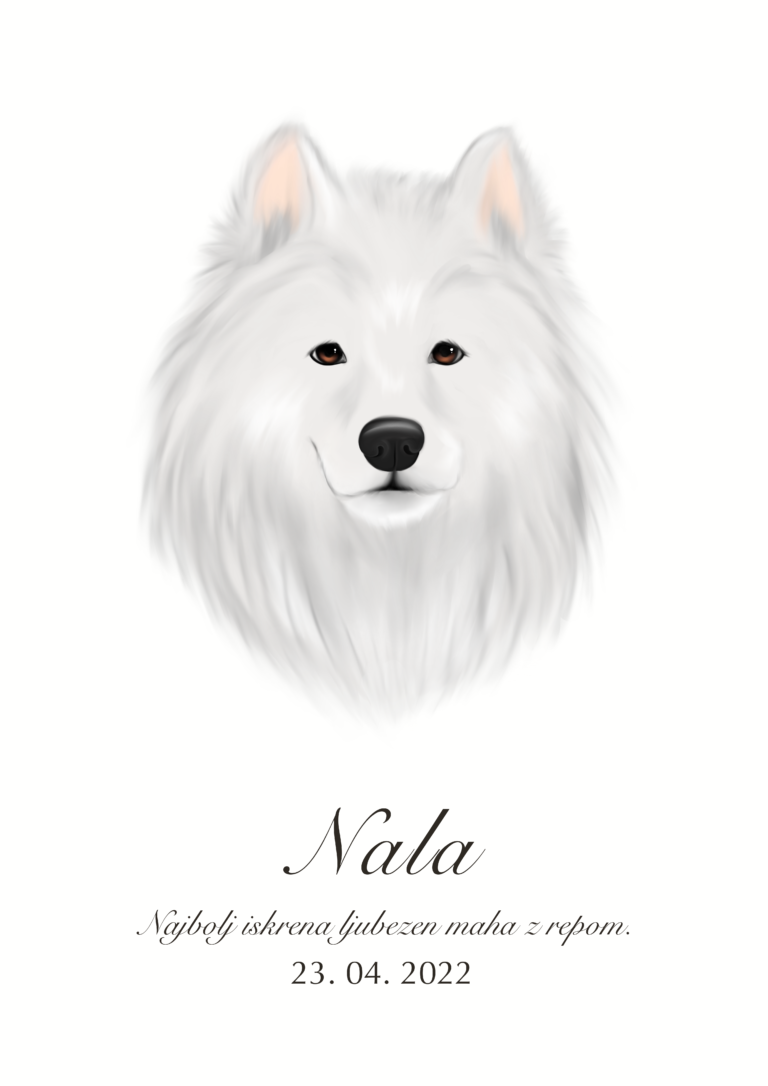 Print Samojed