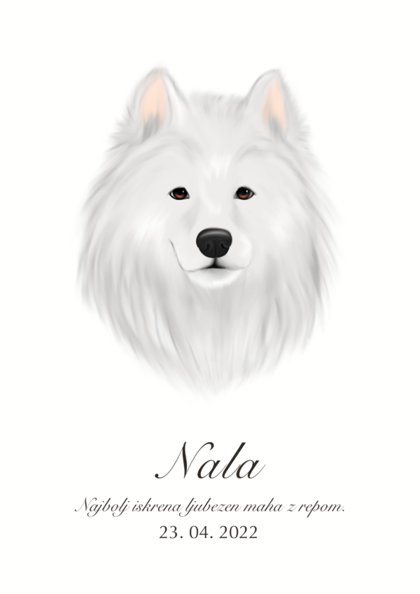 Print Samojed