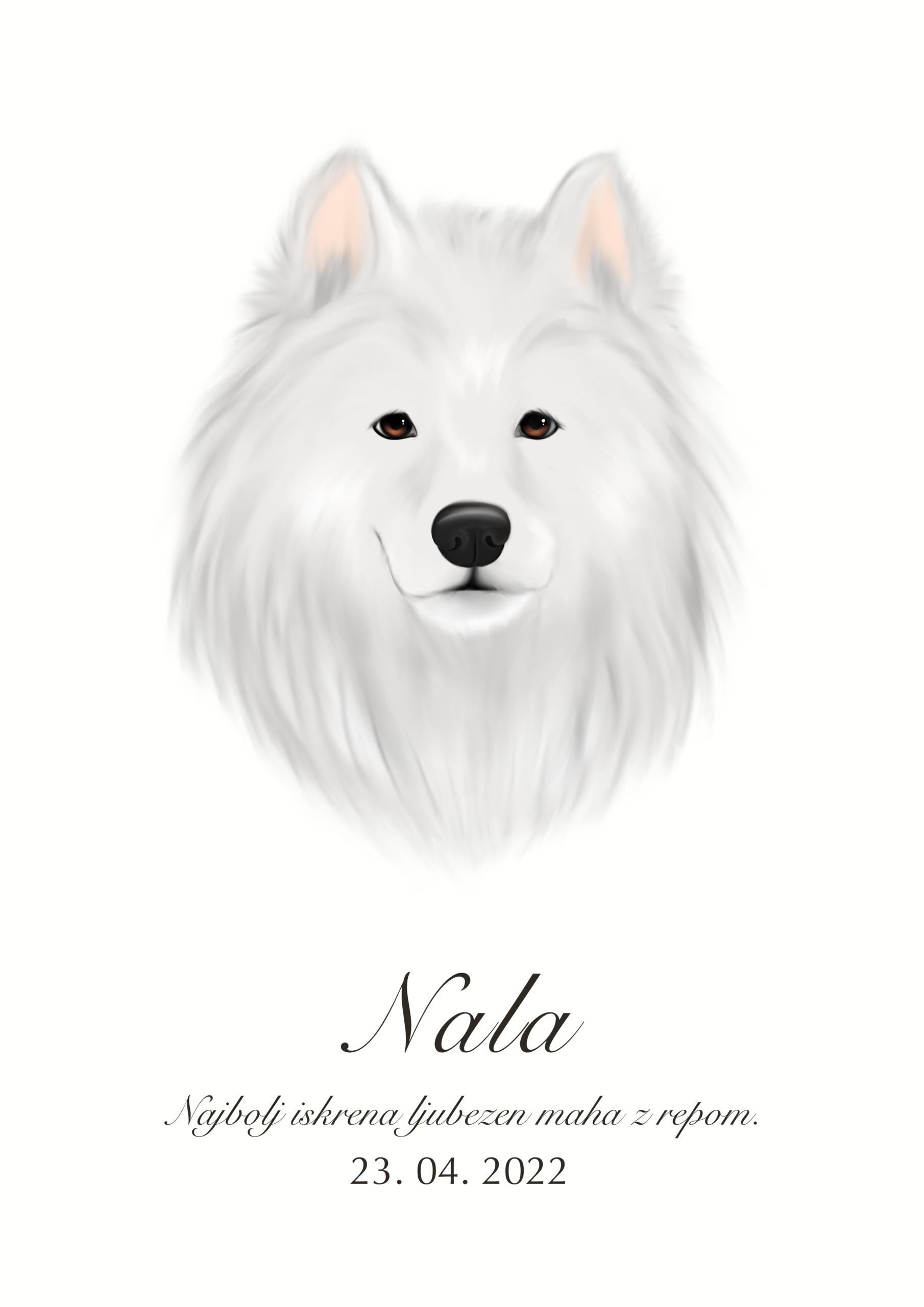 Print Samojed