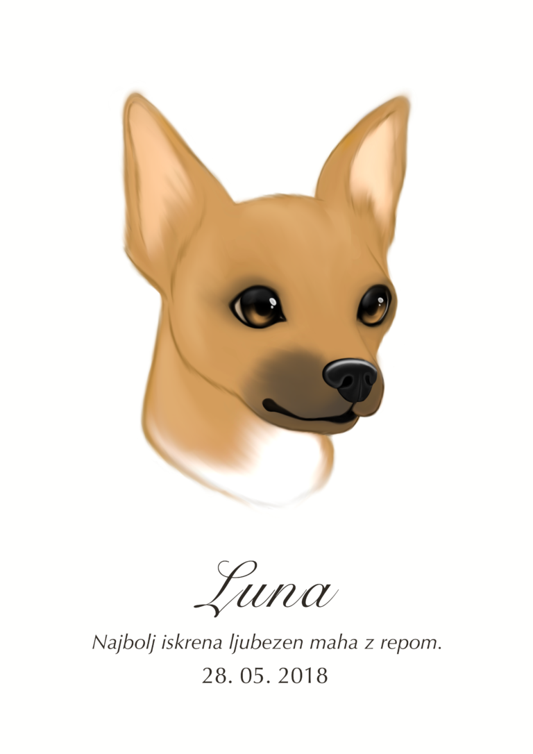 Barvna ilustracija 7