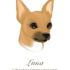 Barvna ilustracija 7