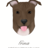 Barva 4