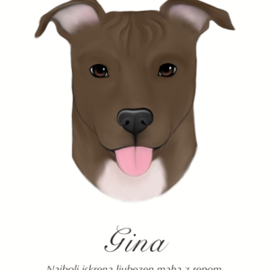 Barva 4