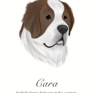 Barva 1