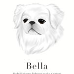 Stil: Barva 3