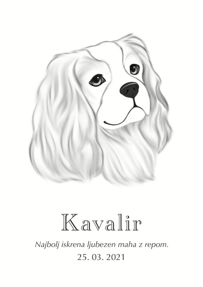 Print Kavalir kralja Karla