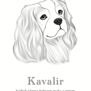 Print Kavalir kralja Karla