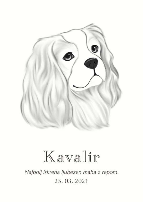 Print Kavalir kralja Karla
