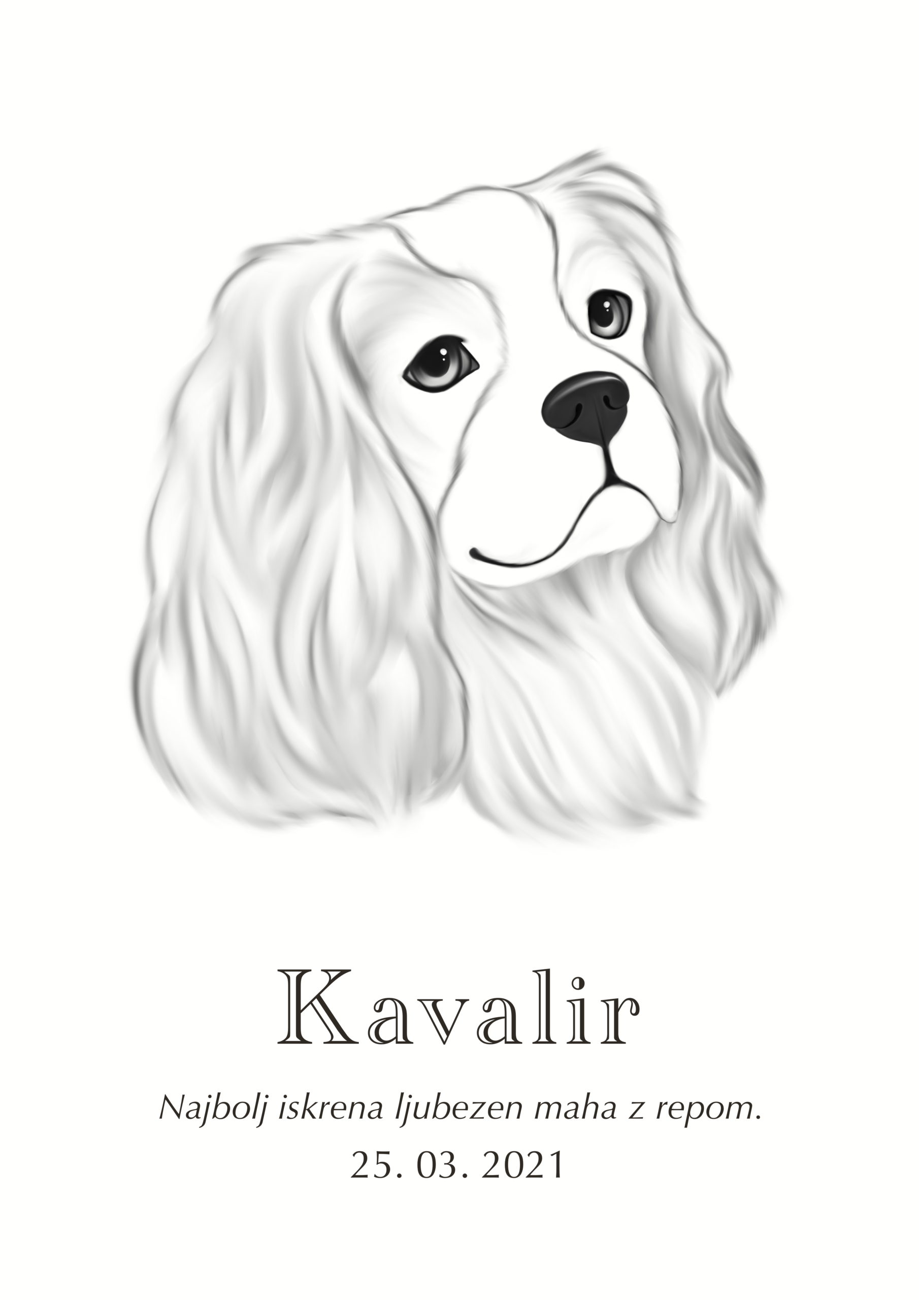 Print Kavalir kralja Karla