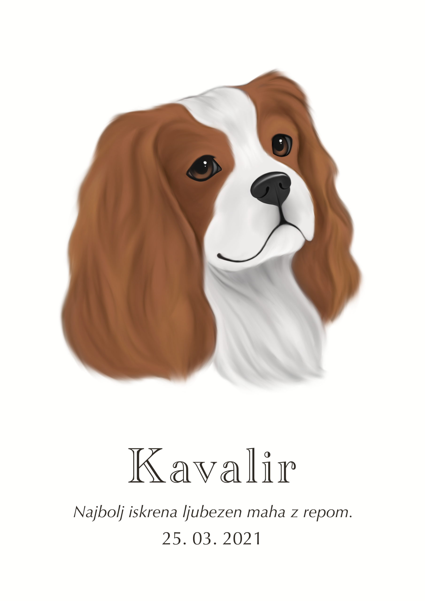 Print Kavalir kralja Karla