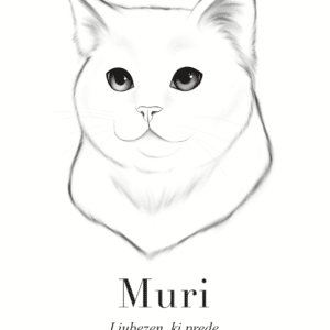 Print Maine Coon