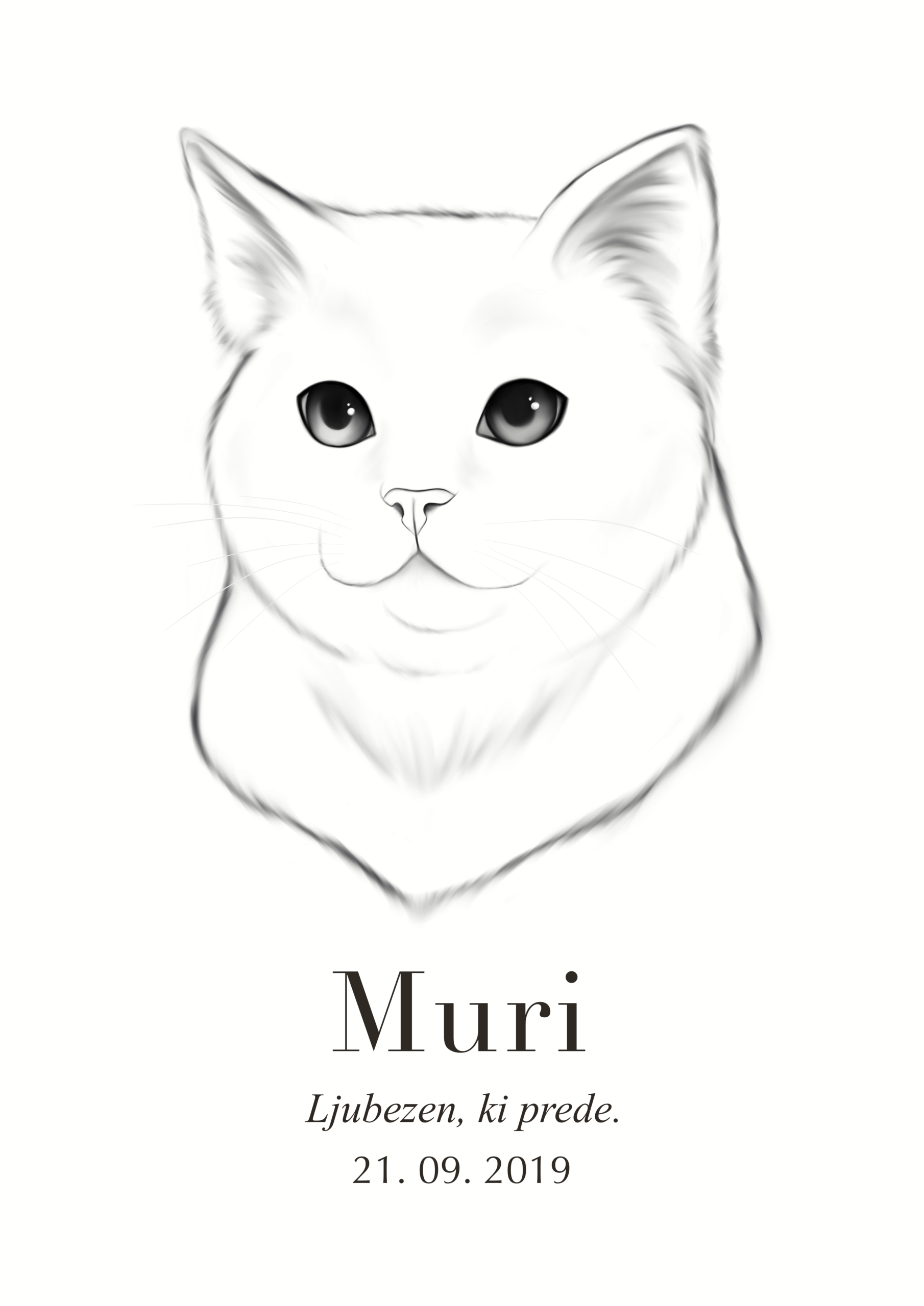 Print Maine Coon