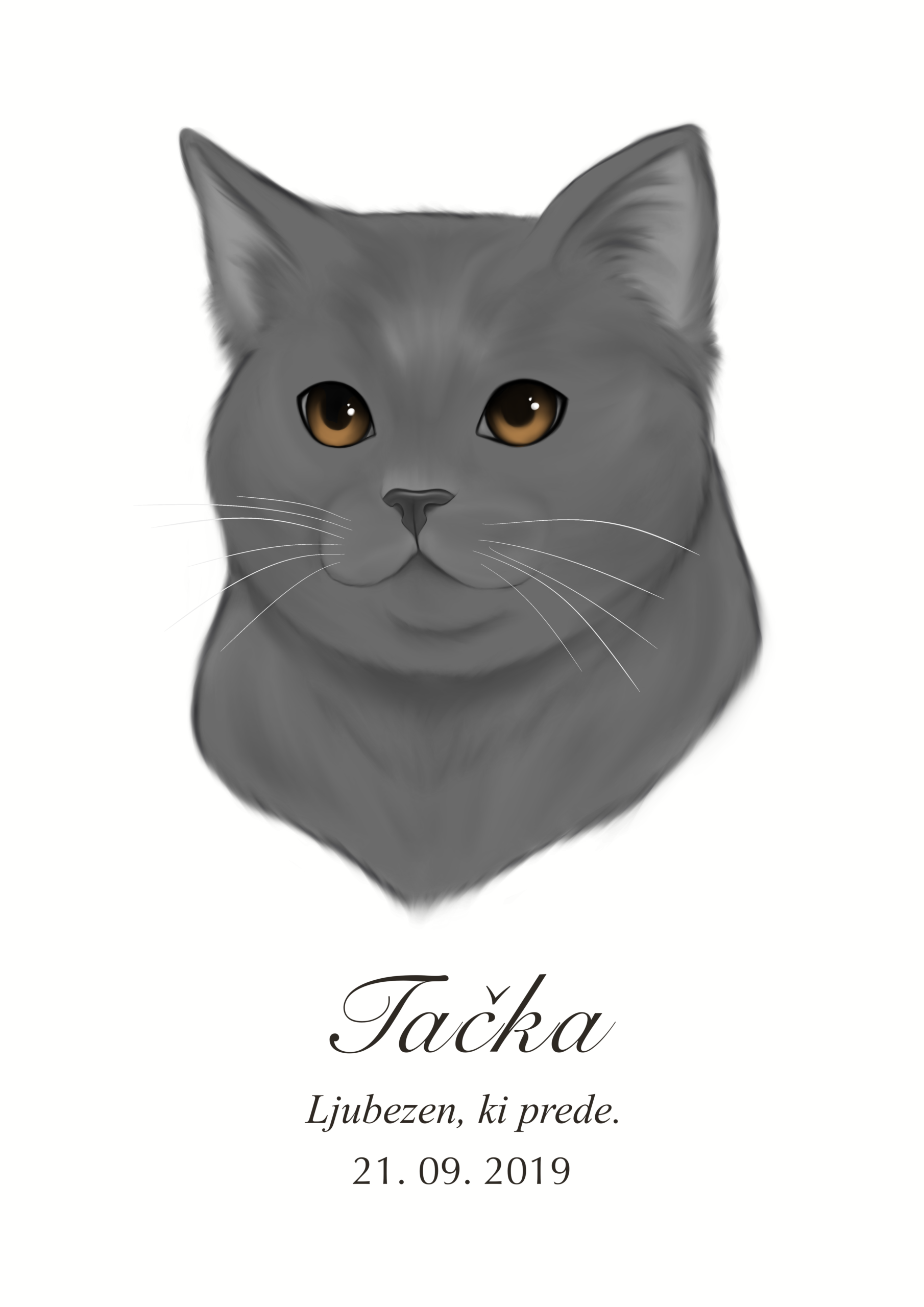 Print Maine Coon