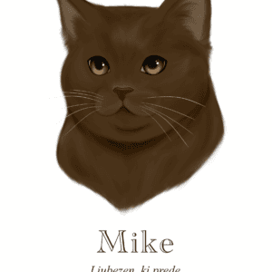 Print Maine Coon