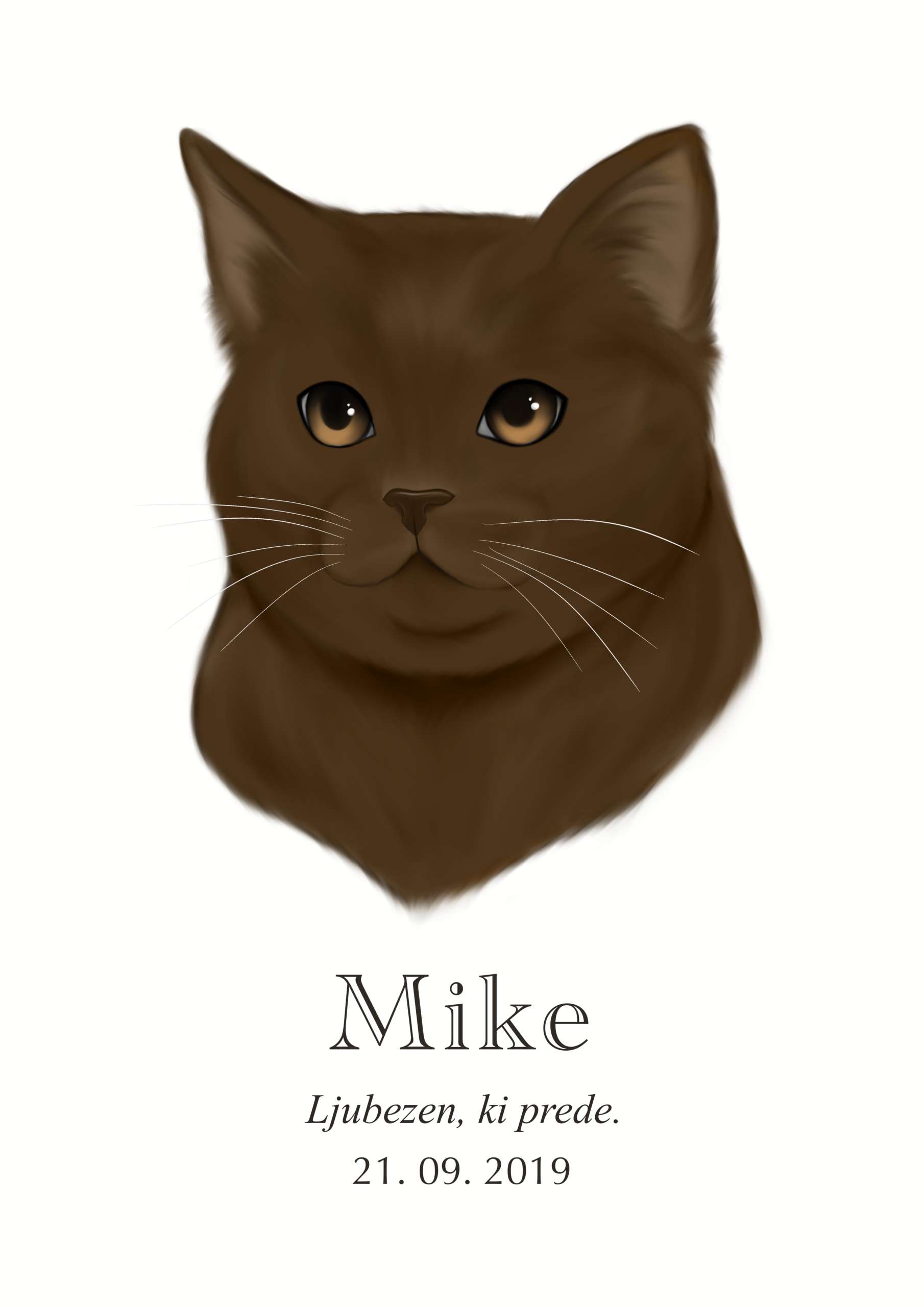 Print Maine Coon