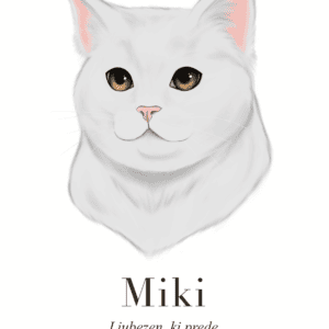 Print Maine Coon