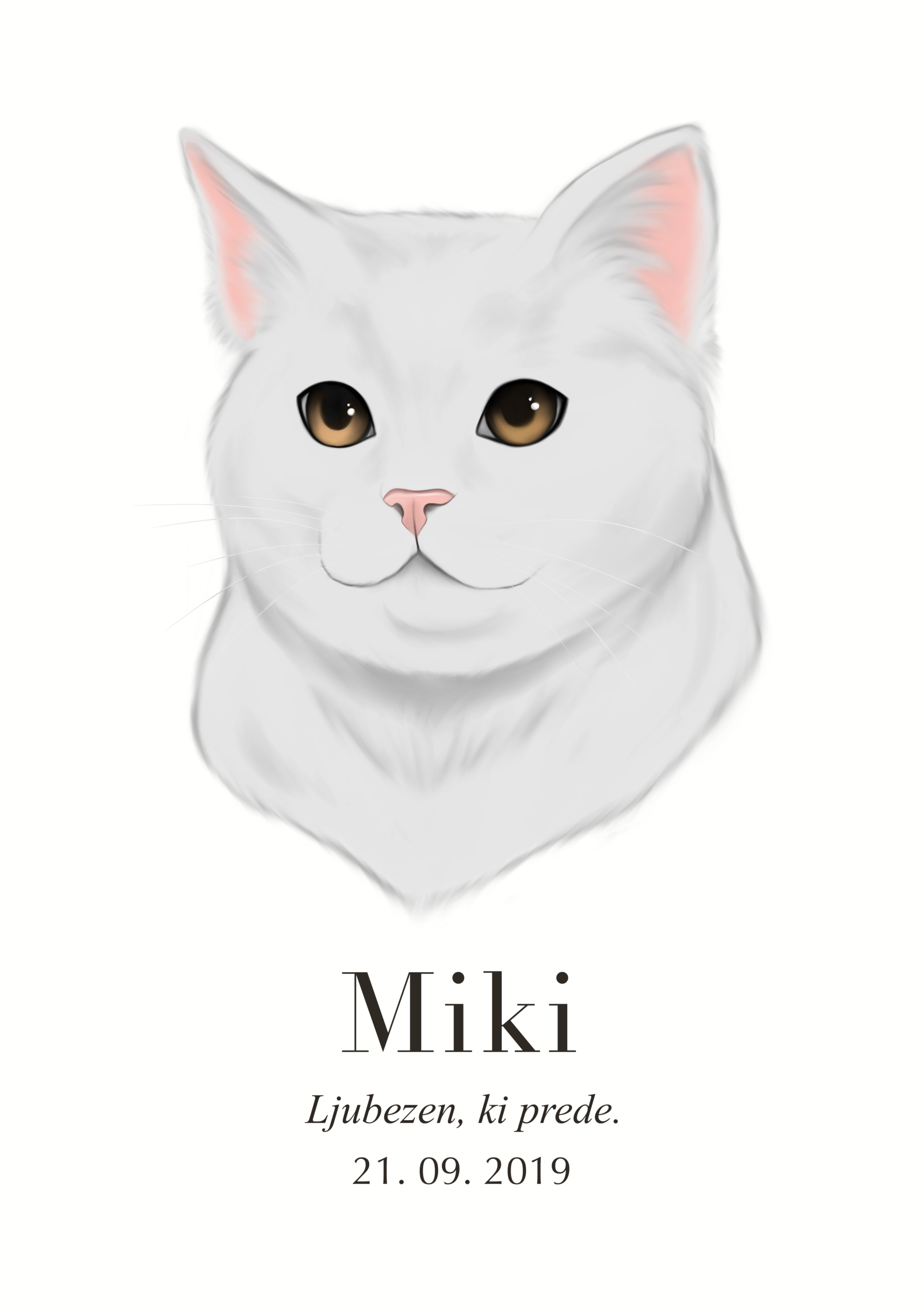 Print Maine Coon