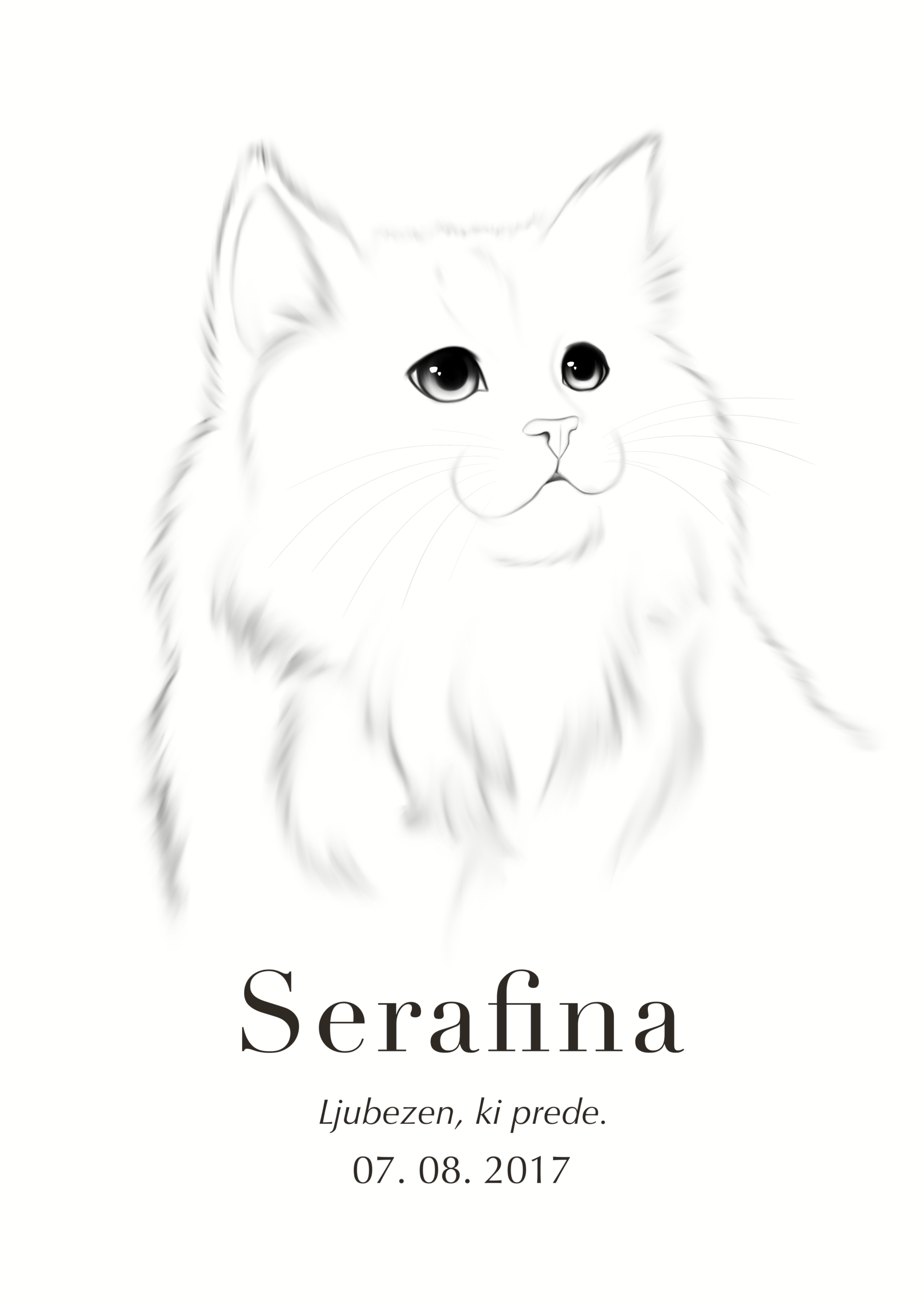 Print Perzijska mačka