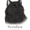Barvna ilustracija