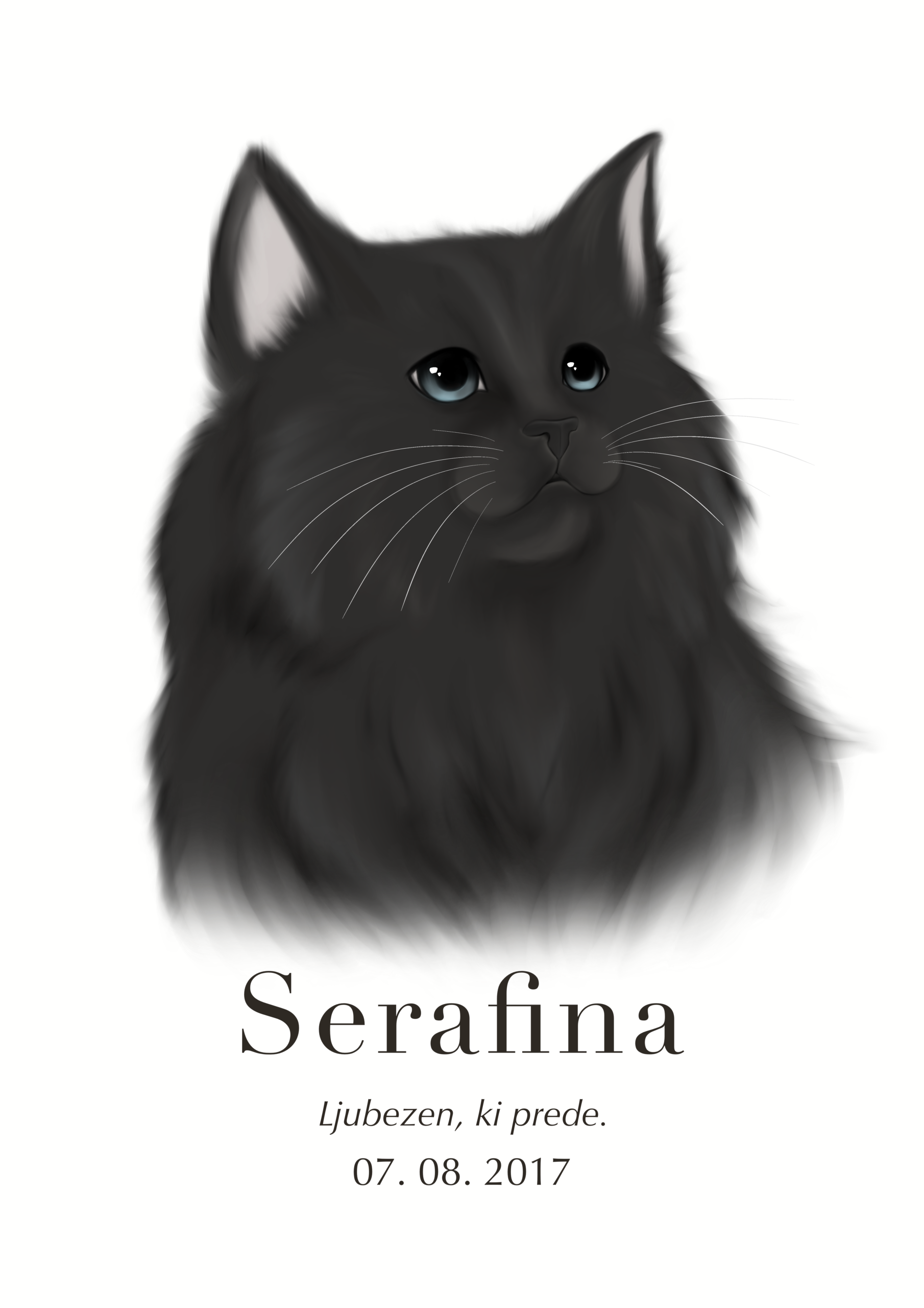 Print Perzijska mačka