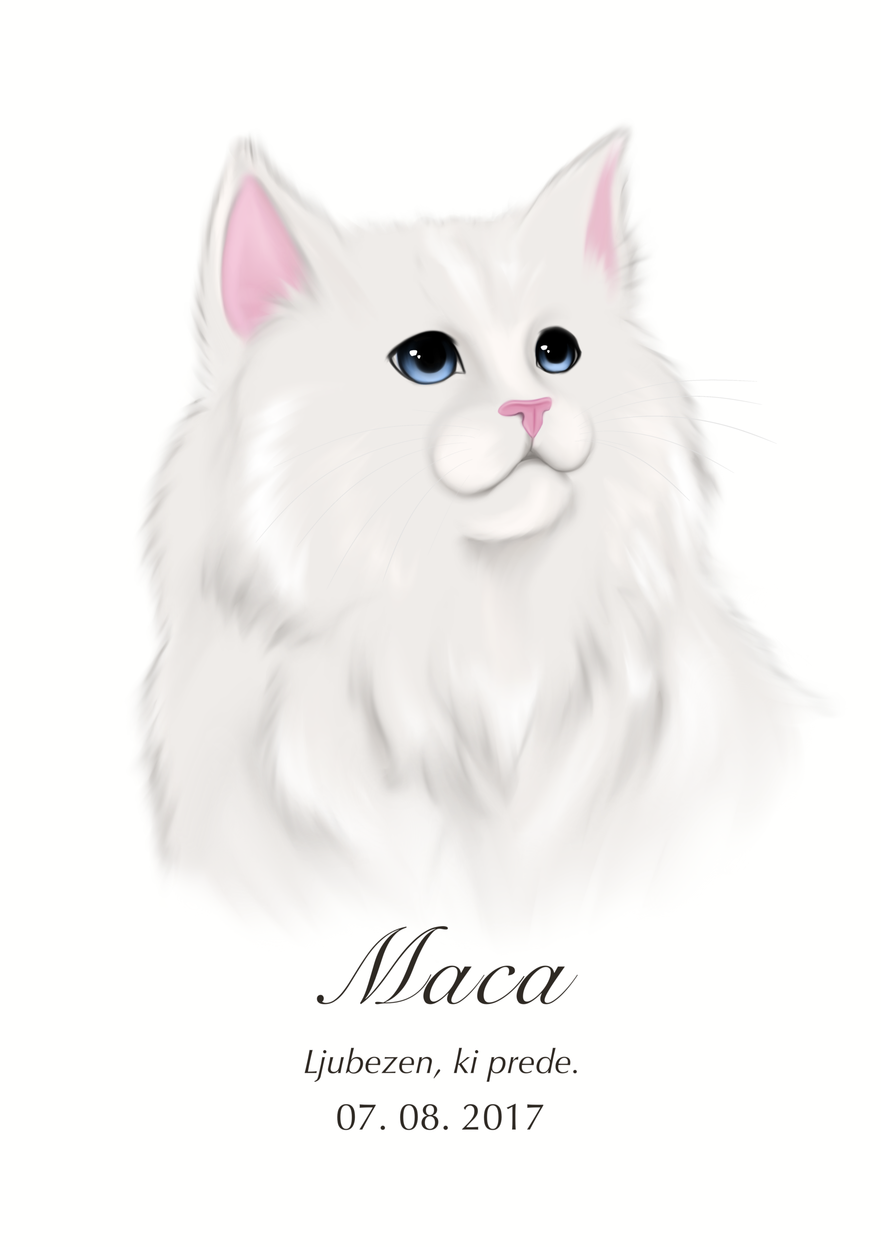 Print Perzijska mačka